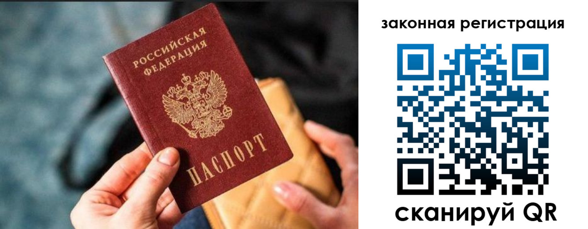 временная регистрация гарантия в Куртамыше